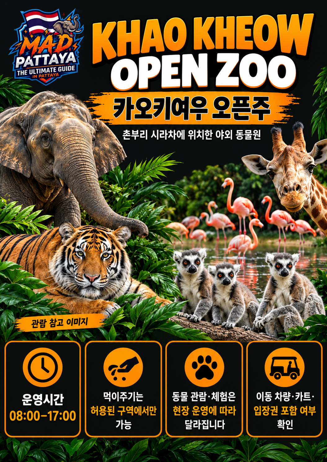 카오 키여우 오픈 주 MAD 소개 브로셔